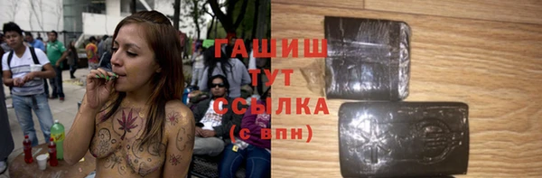 индика Армянск
