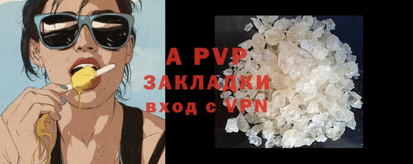 индика Армянск