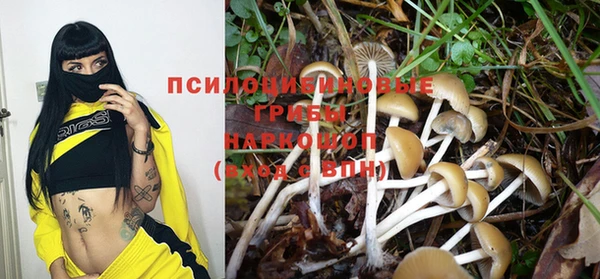 гашик Арсеньев
