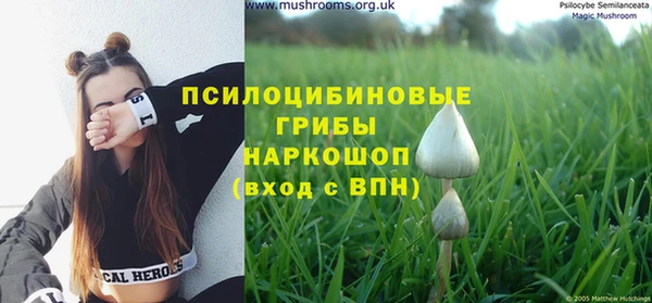 трава Алексин