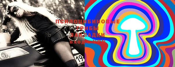 гашик Арсеньев