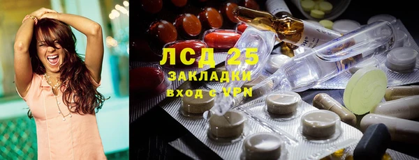 гашик Арсеньев