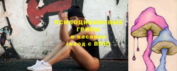 a pvp Аркадак